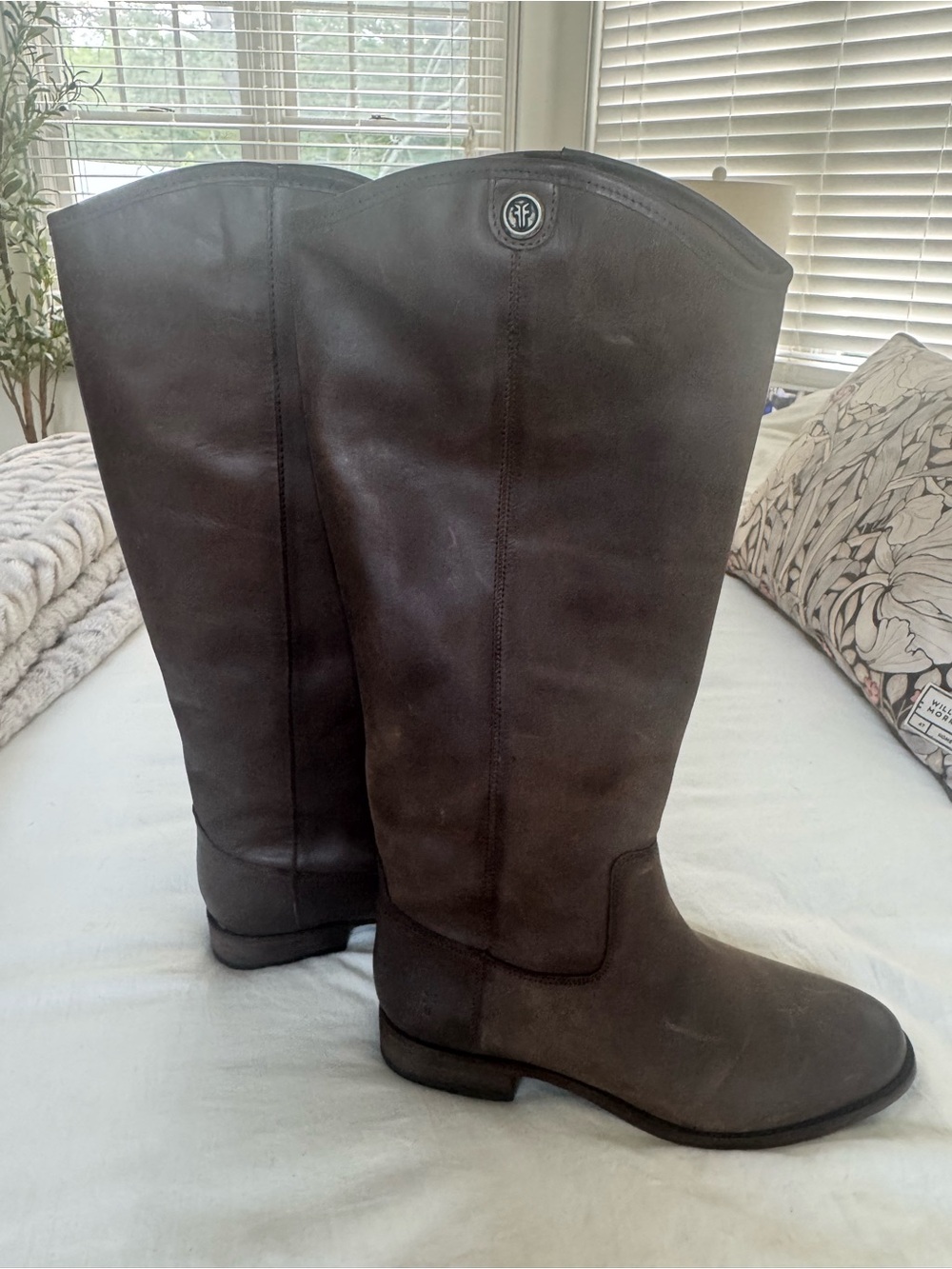 NEW Frye Dark Brown Leather Riding Boots 9.5